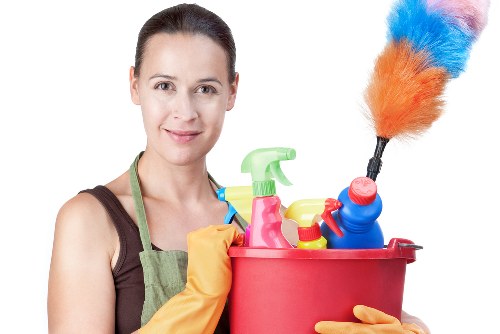 Stain removal tools and cleaning supplies on a table