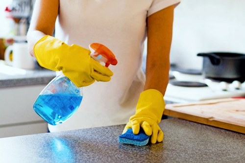 Steam and dry curtain cleaning methods for delicate fabrics