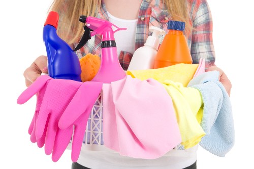 Cleaning pet odour from rugs and upholstery