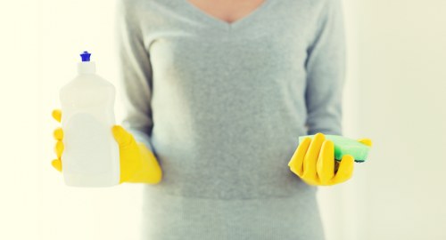 Professional carpet cleaning for a busy household